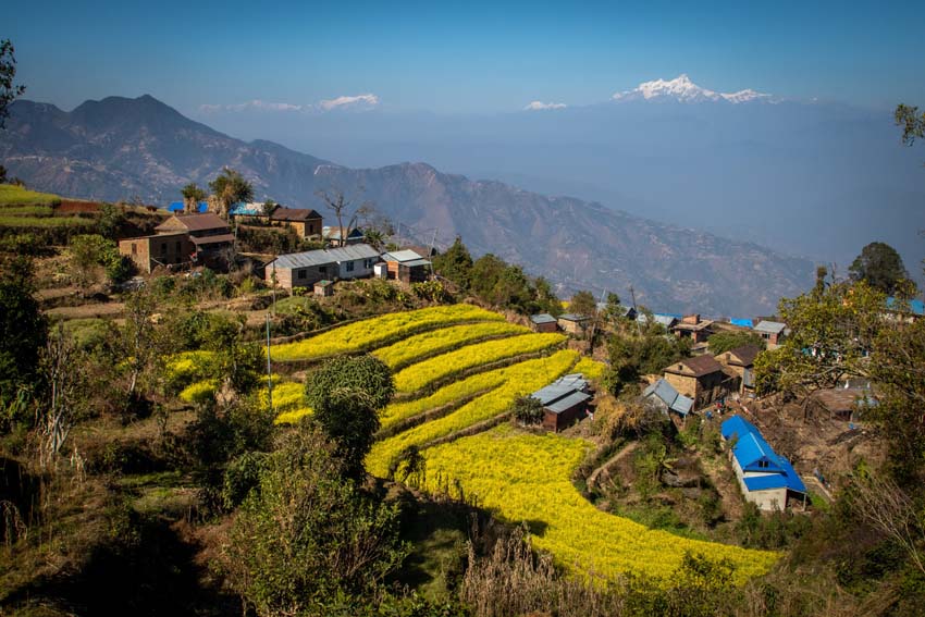 Acupuncture Relief Project  | Good Health Nepal | Andrew Schlabach