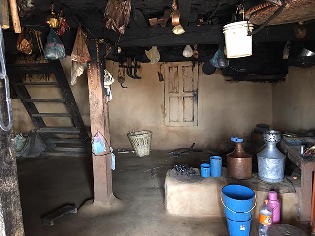 Acupuncture Relief Project  | Good Health Nepal | Danielle Reghi