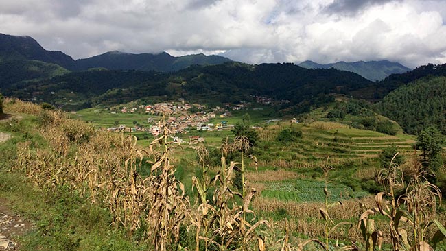 Acupuncture Relief Project  | Good Health Nepal | Sandy Homer