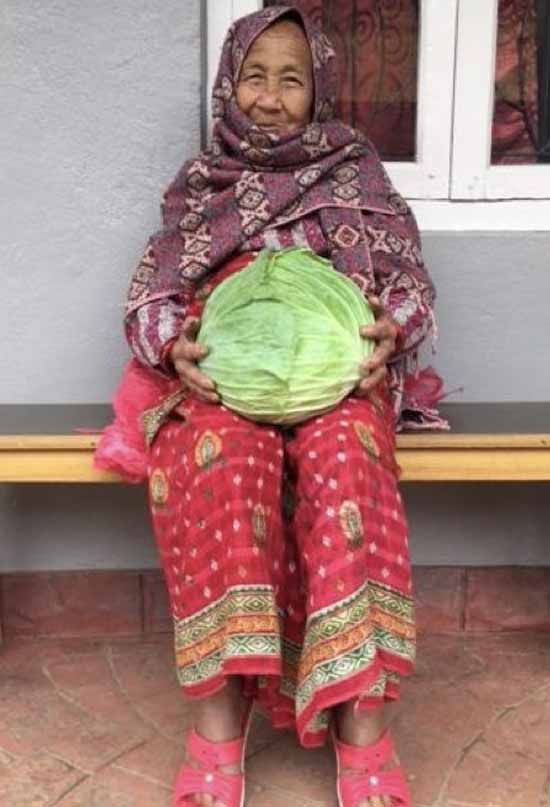 Acupuncture Relief Project  | Good Health Nepal | Emma Sanchez