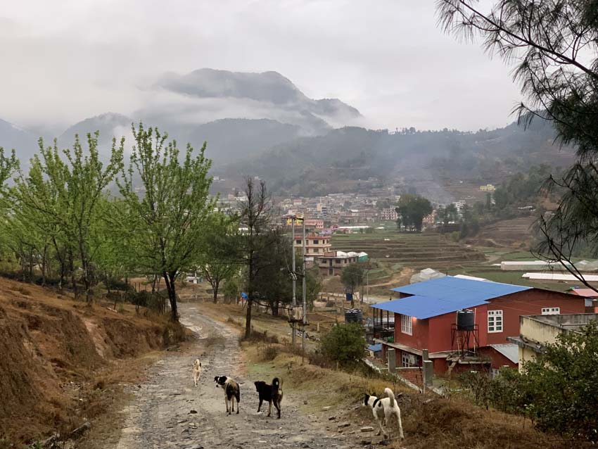 Acupuncture Relief Project | Good Health Nepal | Kara Saltz Acupuncture Relief Project | Good Health Nepal | Kara Saltz