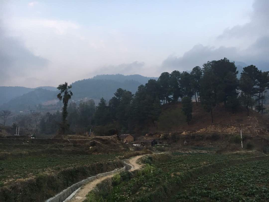 Acupuncture Relief Project  | Good Health Nepal | Kyndl Mueller