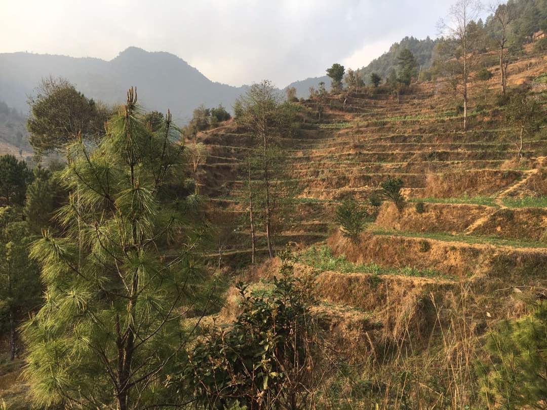 Acupuncture Relief Project  | Good Health Nepal | Kyndl Mueller