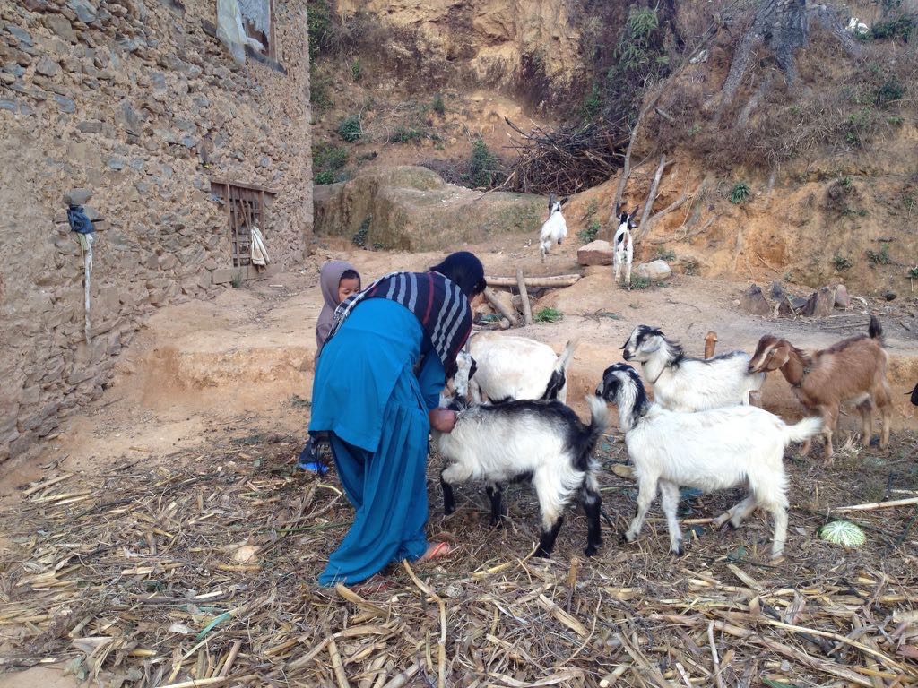 Acupuncture Relief Project  | Good Health Nepal | Kyndl Mueller
