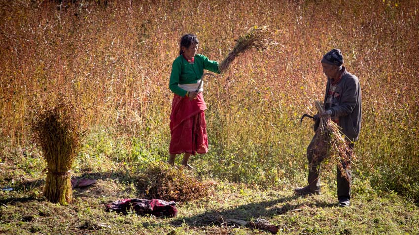 Acupuncture Relief Project | Good Health Nepal | Andrew Schlabach