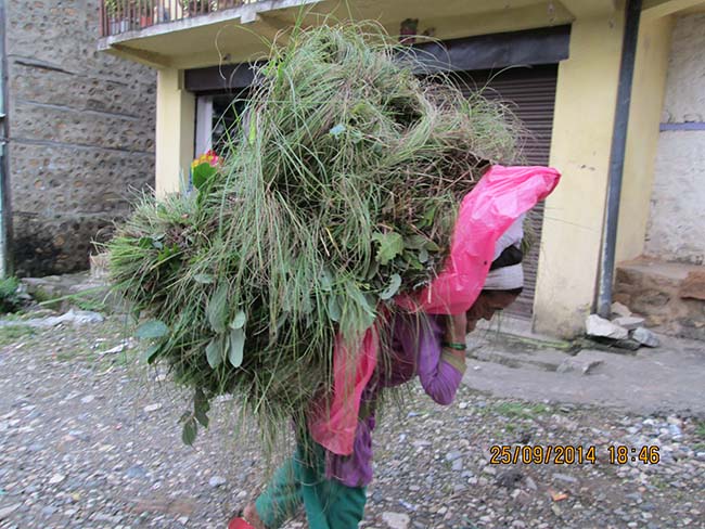 Marian Klaes | Acupuncture Volunteer Nepal