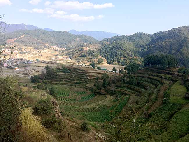 Acupuncture Relief Project  | Good Health Nepal | Sugandhi Jordan